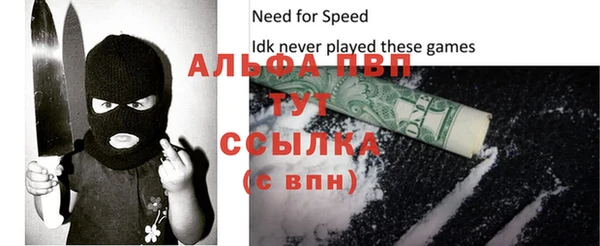 стаф Новодвинск
