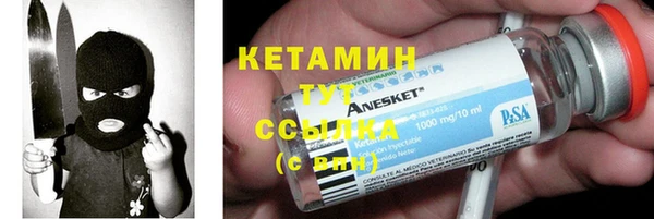 стаф Новодвинск