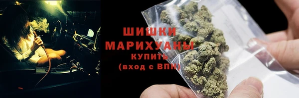 стаф Новодвинск