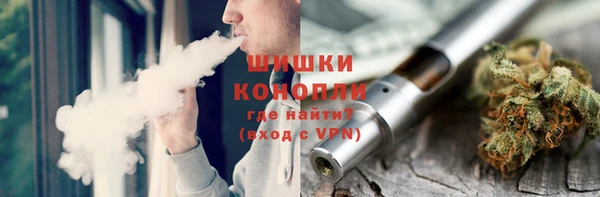 стаф Новодвинск