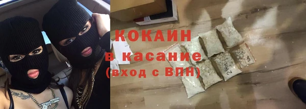 стаф Новодвинск
