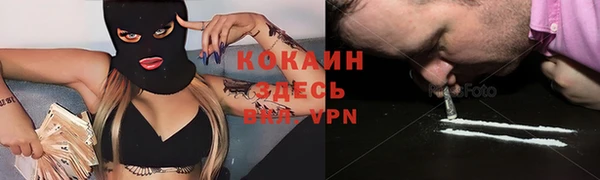 стаф Новодвинск