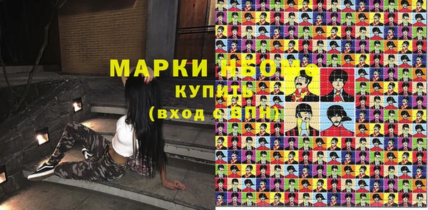 стаф Новодвинск