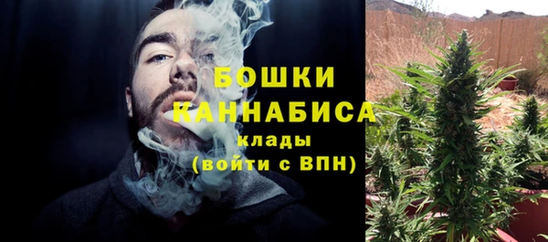 стаф Новодвинск