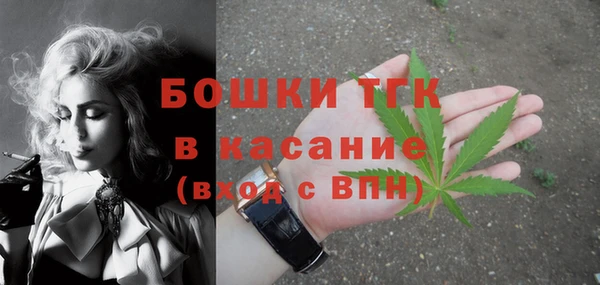 стаф Новодвинск