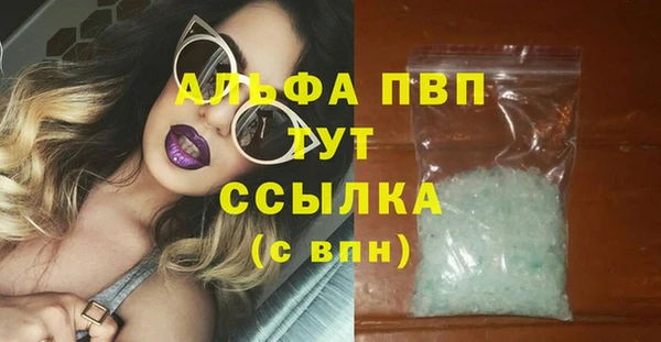 стаф Новодвинск